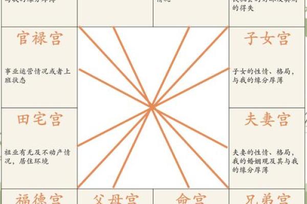 紫薇斗数看子女长相