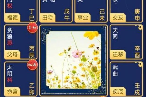 紫薇星是什么
