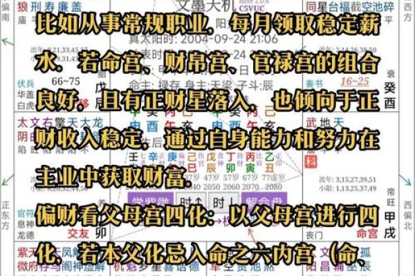 紫薇斗数看未来公公