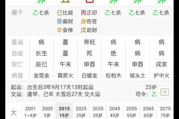 算命免费2024年运程 2024年运程免费算命