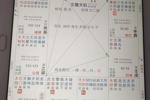 巨门在紫薇斗数中什么意思