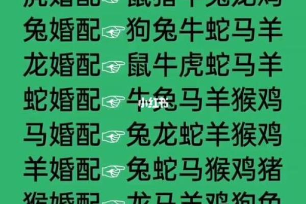十二生肖的最佳婚姻配对
