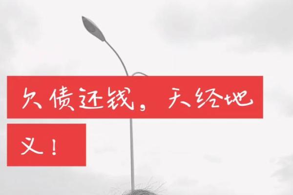 算命说欠债帮忙还钱
