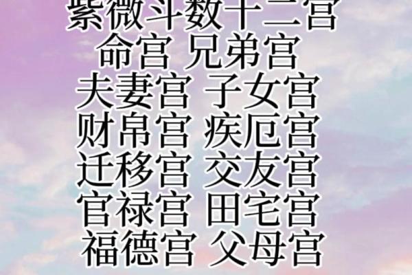 紫薇斗数会照