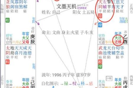 紫微斗数之子女宫与诸星，天相星在子女宫是什么意思？