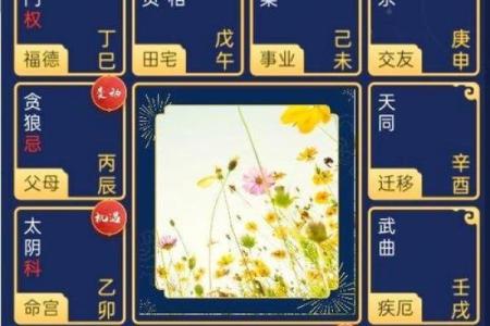 紫薇星是什么