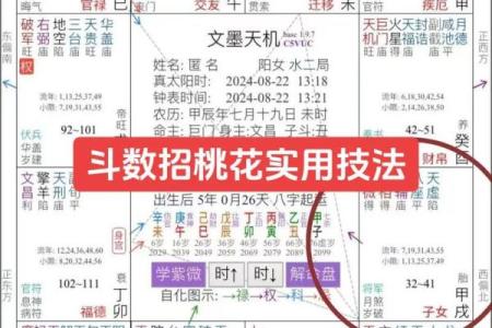 紫薇斗数怎么看癌症