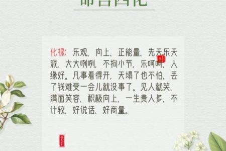 紫薇斗数会照
