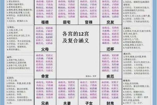 紫薇斗数紫府