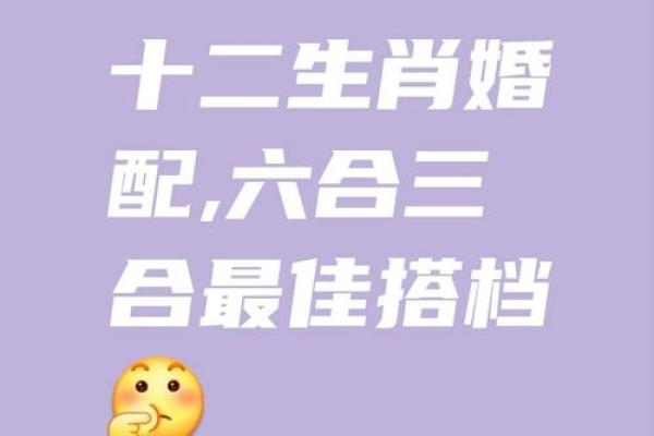 属鼠O血型的人性格与事业姻缘