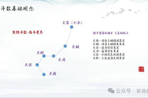 紫薇斗数斗君的作用