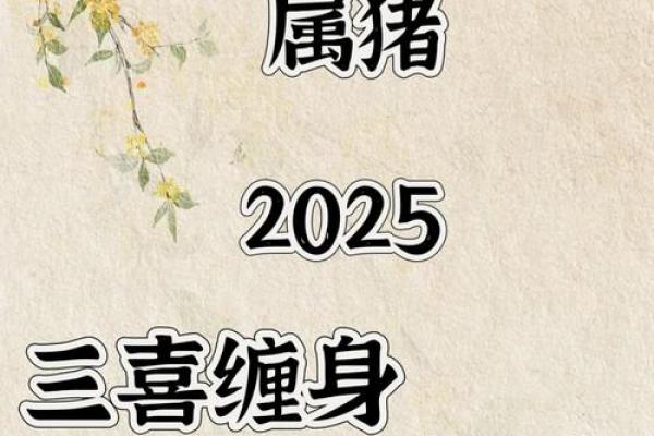 属猪男八字