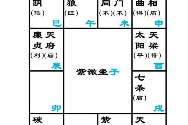 紫薇斗数教学谁的更好
