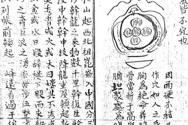 如何判断身上有仙骨的征兆风水