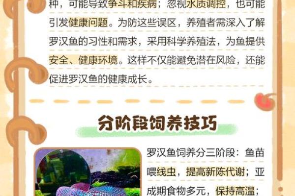 养罗汉鱼风水好吗