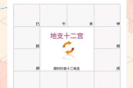 紫薇斗数几号盘
