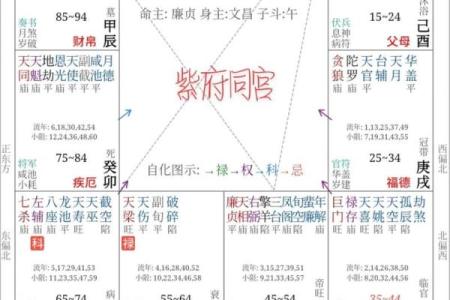 紫薇斗数紫府