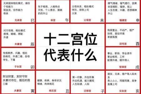 紫微斗数紫薇落官禄宫