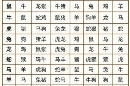 属猪和什么属相最配对 属猪和什么属相相冲