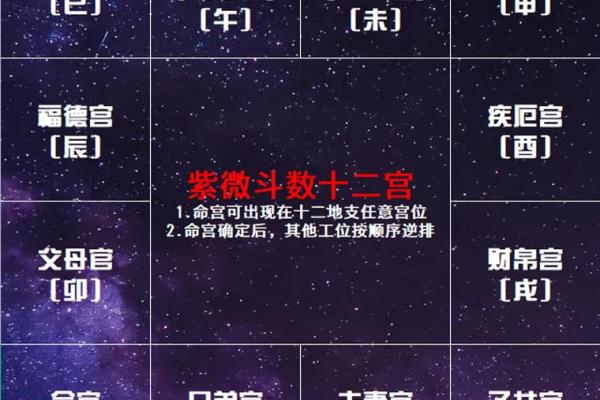 紫薇斗数12宫对照表