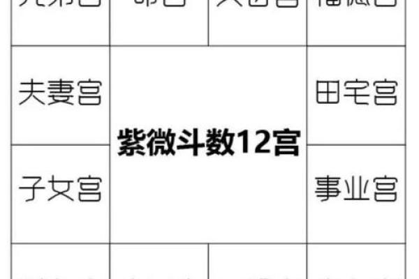 紫薇斗数2婚怎么看