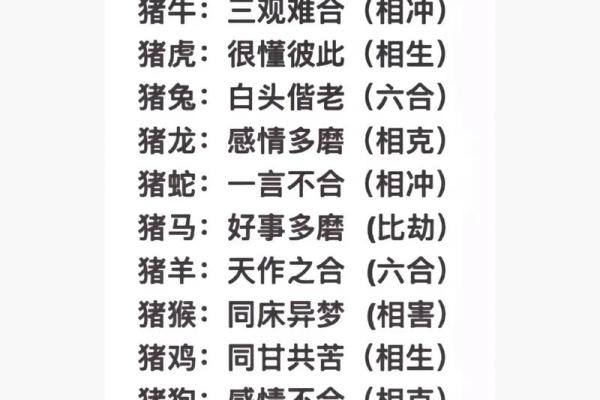 猪跟什么生肖配对最好 生肖猪最佳配对