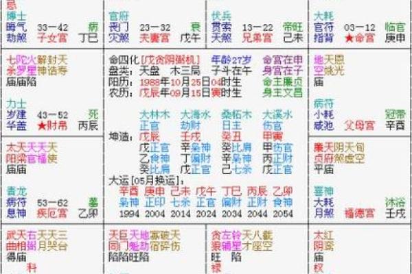 紫薇斗数看每日运势