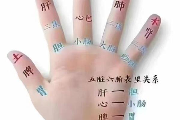 五指山算命哪里准
