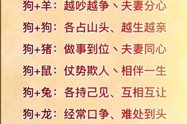 属狗姻缘属相婚配表 属狗的婚姻属相配对？