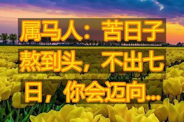 马年八月出生吉日，属马8月出生？