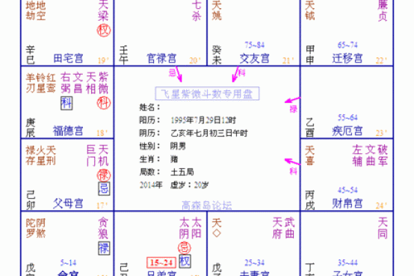 紫薇斗数与名字