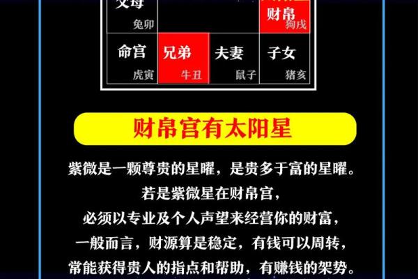 看紫薇斗数的人