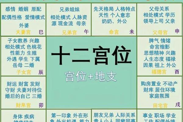 紫薇斗数父母职业