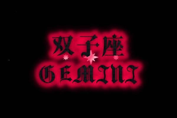 颜值高的星座有双子座吗