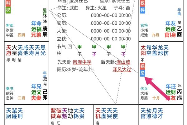 紫薇斗数流出忌