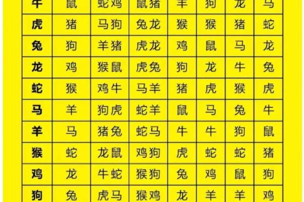 属龙和什么属相最配对 属龙和什么属相相冲
