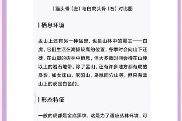 星座所主与断式口诀_白虎 星座所主与断式口诀_白虎