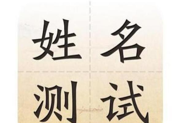 姓名免费打分测试100分