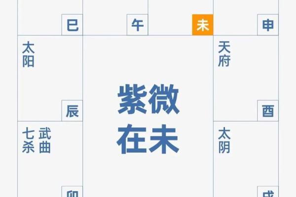 十二生肖紫薇斗数