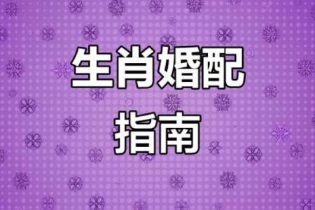 男猴女马生肖配对姻缘