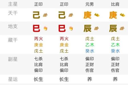 八字双龙