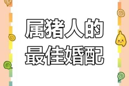 猪跟什么生肖配对最好 生肖猪最佳配对