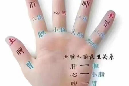 五指山算命哪里准