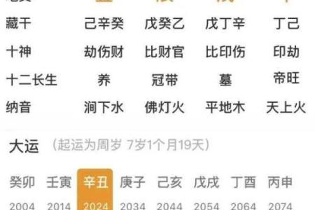 八字中的墓库是什么意思