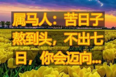 马年八月出生吉日，属马8月出生？