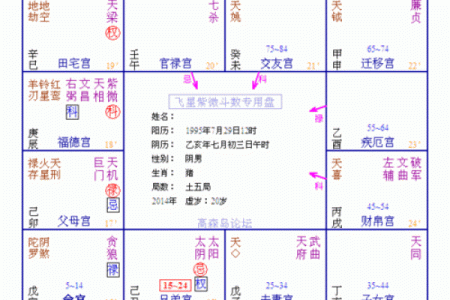 紫薇斗数与名字