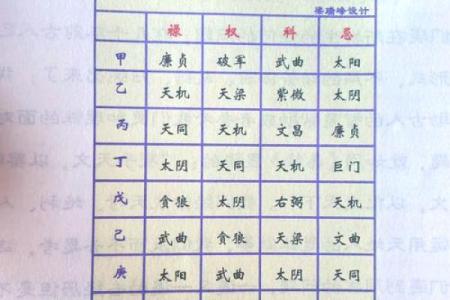 看紫薇斗数的人
