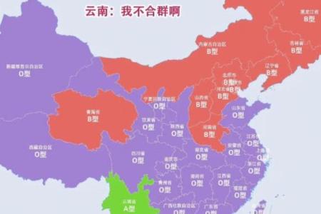 成功人士最多的血型