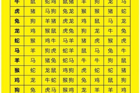 属龙和什么属相最配对 属龙和什么属相相冲