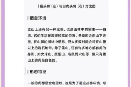 星座所主与断式口诀_白虎